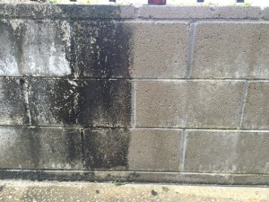 Masonry Cleaning & Sealing before and after mould removal
